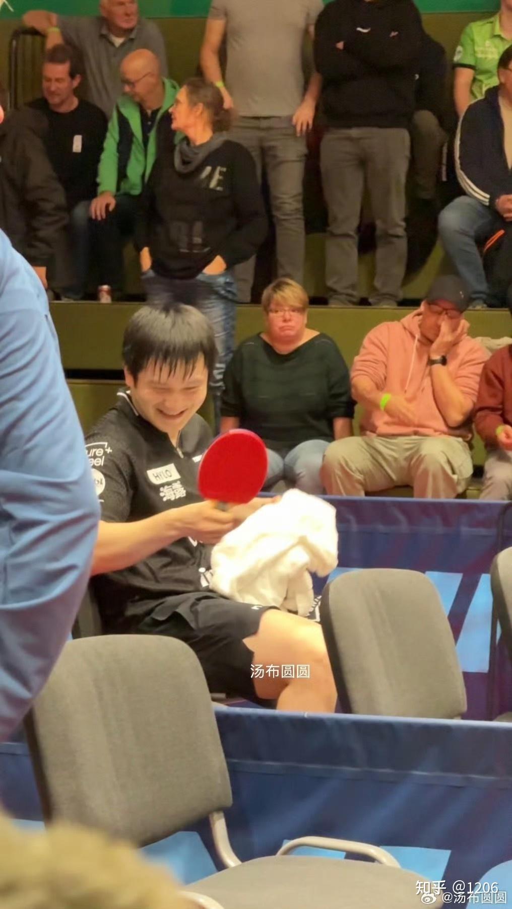 瑞典乒乓球队轻取波兰乒乓球队，樊振东完成帽子戏法