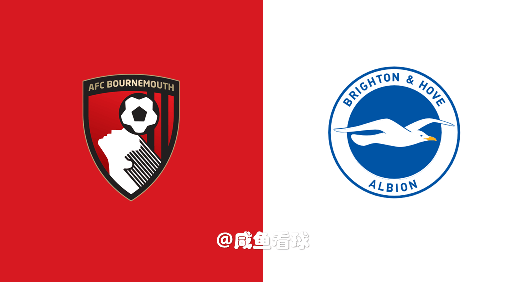 伯恩茅斯主场凭借进球数优势击败布莱顿的简单介绍 伯恩茅斯主场凭借进球数优势击败布莱顿的简单介绍